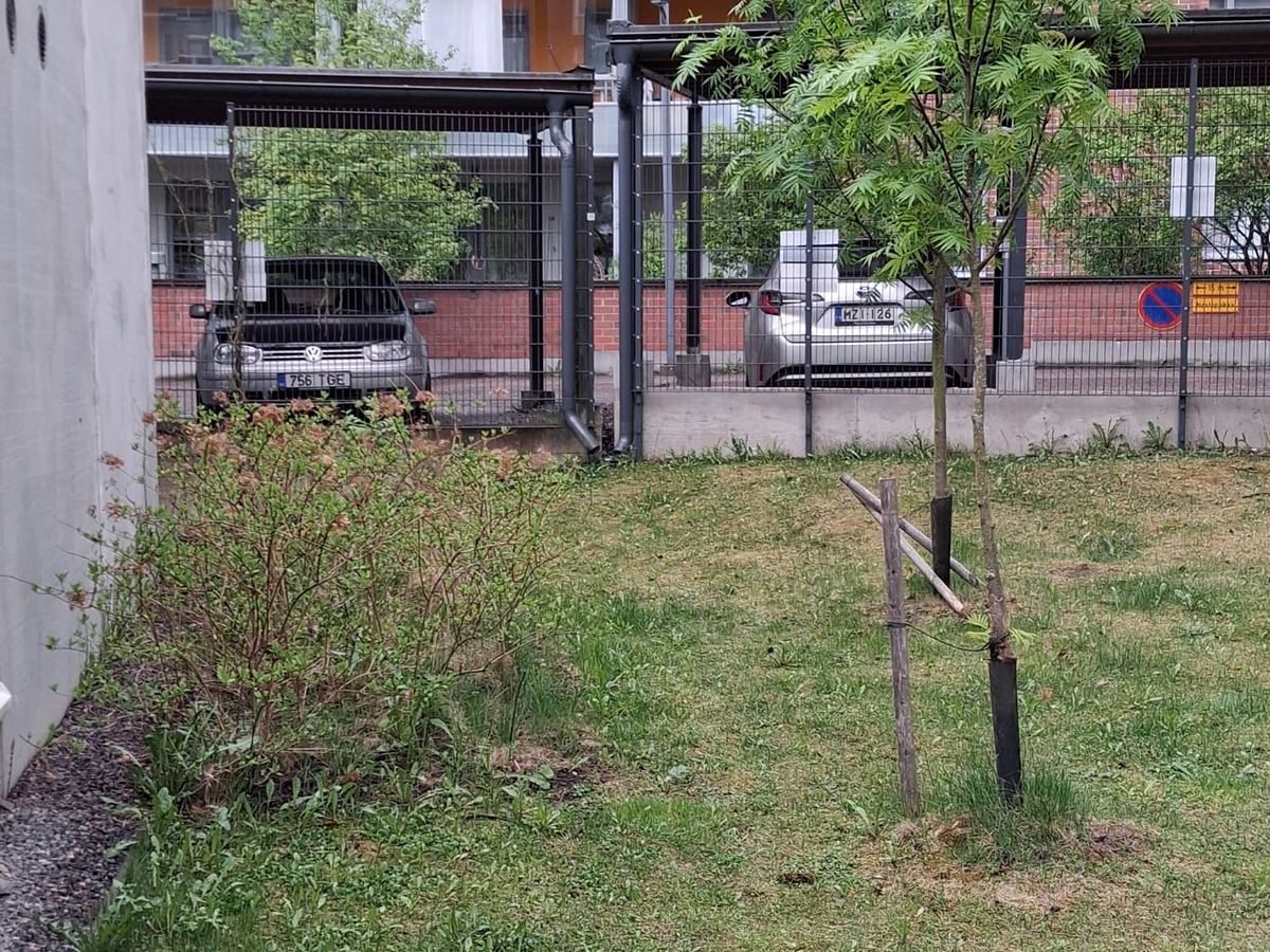 Taloyhtiön piha ennen kunnostusta, istutusalue kattamatta